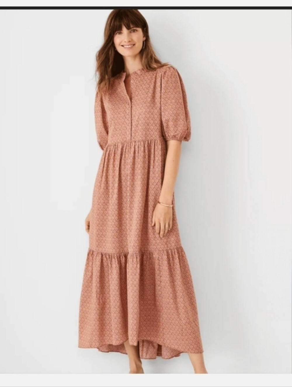 Ann Taylor Pink Brown Maxi Dress M